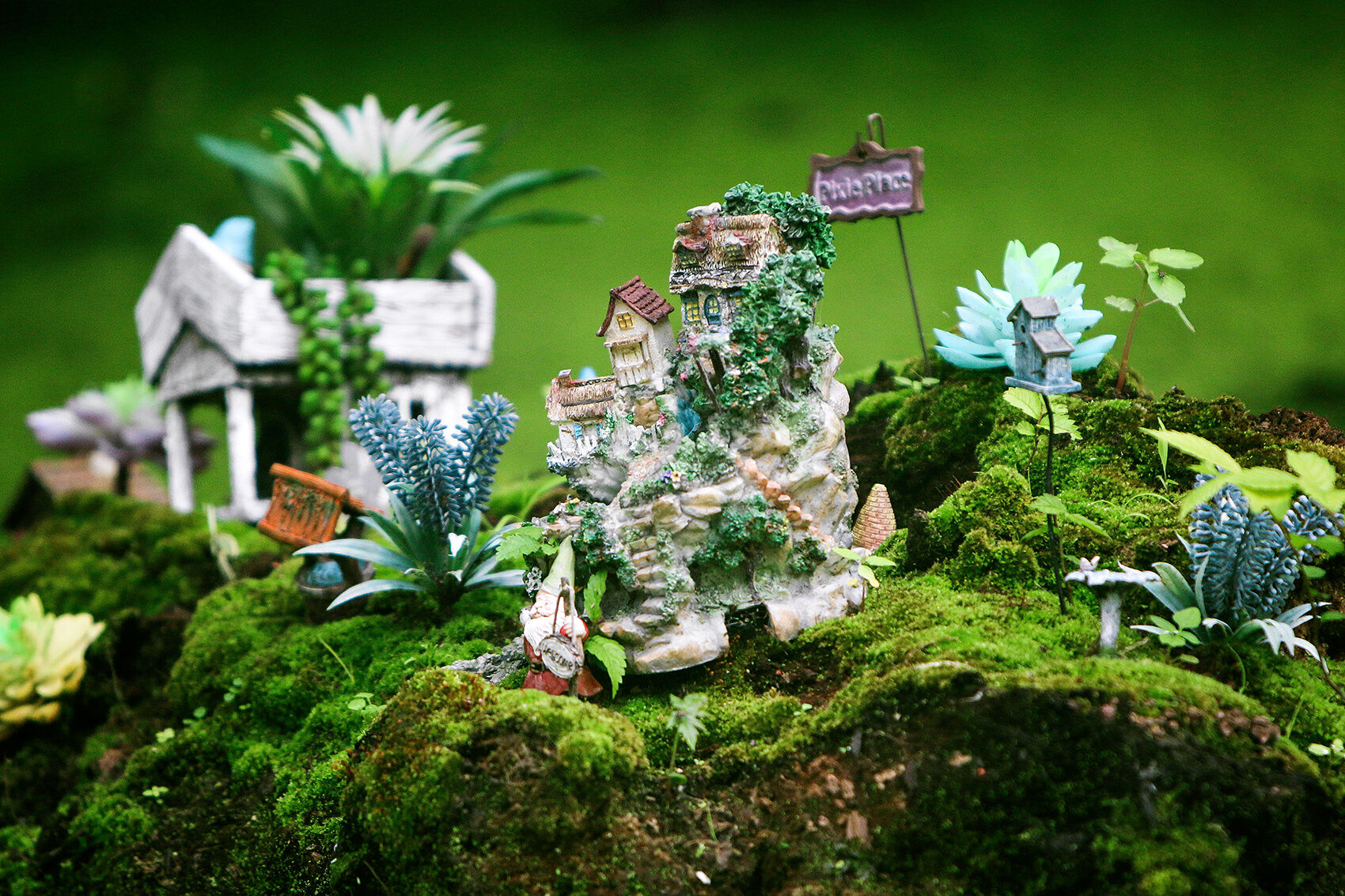 fairy gardens 061322 0127 WEB.jpg